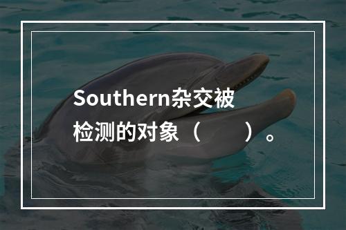 Southern杂交被检测的对象（　　）。