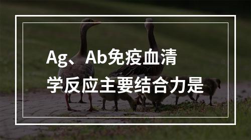 Ag、Ab免疫血清学反应主要结合力是