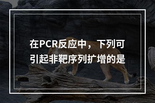 在PCR反应中，下列可引起非靶序列扩增的是