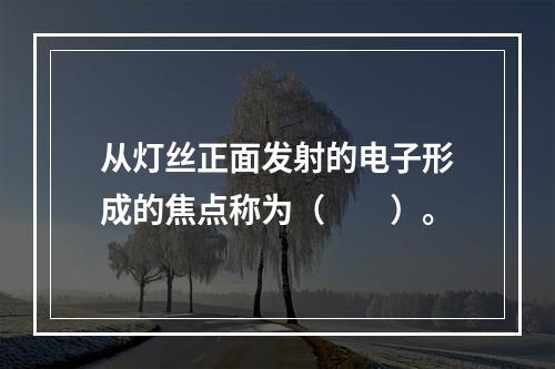 从灯丝正面发射的电子形成的焦点称为（　　）。