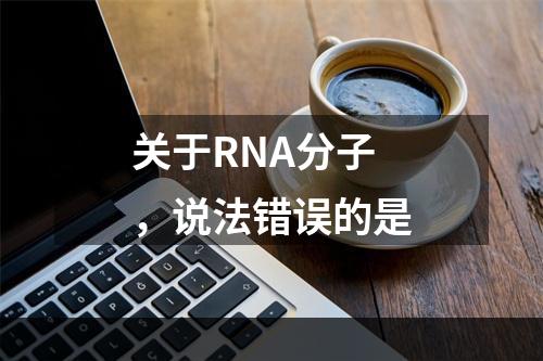 关于RNA分子，说法错误的是