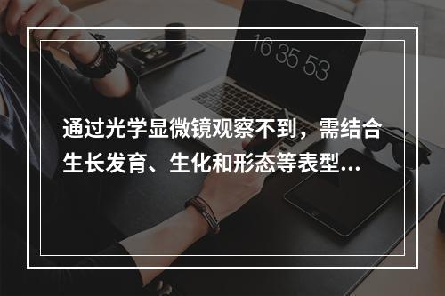 通过光学显微镜观察不到，需结合生长发育、生化和形态等表型改变