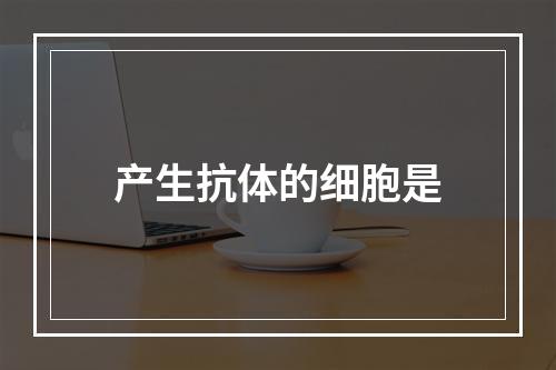 产生抗体的细胞是