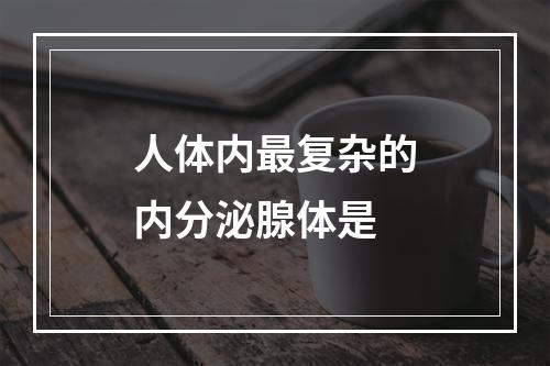 人体内最复杂的内分泌腺体是