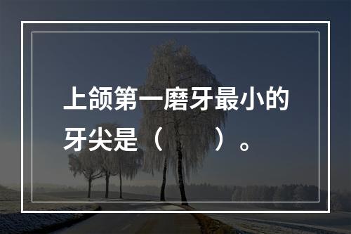 上颌第一磨牙最小的牙尖是（　　）。