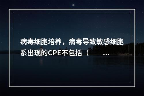 病毒细胞培养，病毒导致敏感细胞系出现的CPE不包括（　　）。