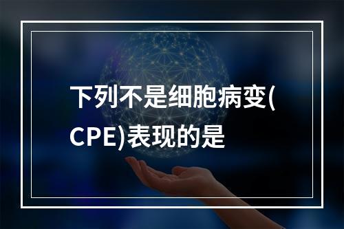 下列不是细胞病变(CPE)表现的是