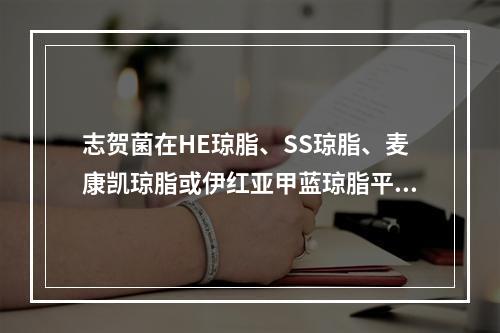 志贺菌在HE琼脂、SS琼脂、麦康凯琼脂或伊红亚甲蓝琼脂平板