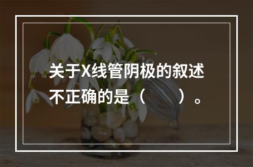 关于X线管阴极的叙述不正确的是（　　）。