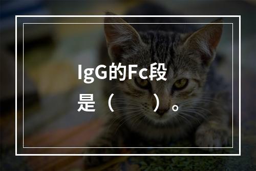 IgG的Fc段是（　　）。