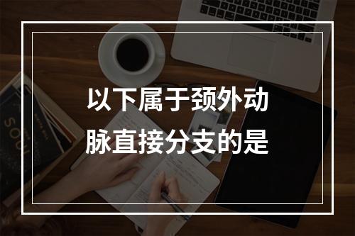 以下属于颈外动脉直接分支的是