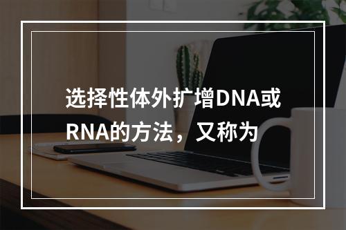 选择性体外扩增DNA或RNA的方法，又称为