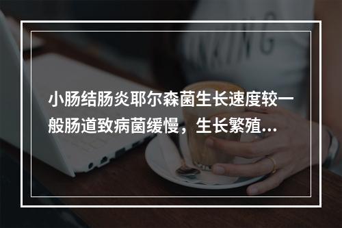 小肠结肠炎耶尔森菌生长速度较一般肠道致病菌缓慢，生长繁殖一代