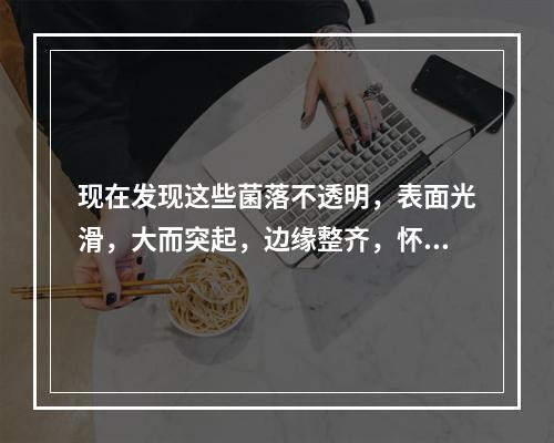 现在发现这些菌落不透明，表面光滑，大而突起，边缘整齐，怀疑是