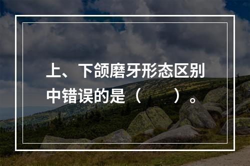 上、下颌磨牙形态区别中错误的是（　　）。