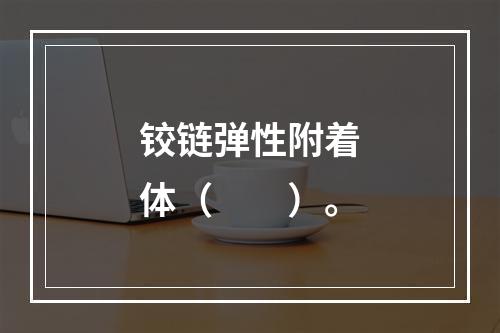 铰链弹性附着体（　　）。