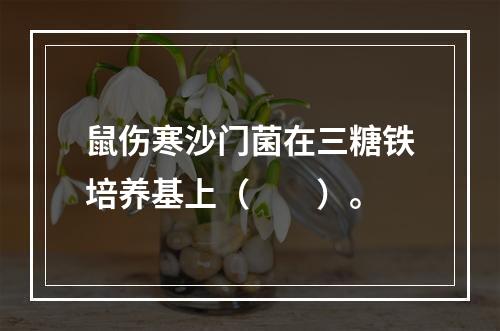 鼠伤寒沙门菌在三糖铁培养基上（　　）。