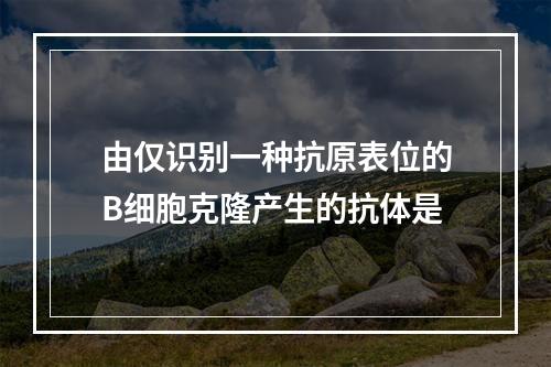 由仅识别一种抗原表位的B细胞克隆产生的抗体是