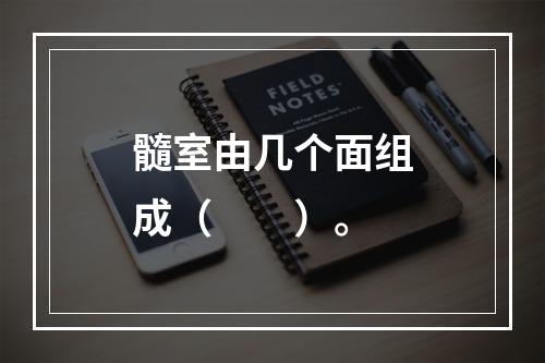 髓室由几个面组成（　　）。