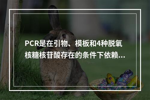 PCR是在引物、模板和4种脱氧核糖核苷酸存在的条件下依赖于D