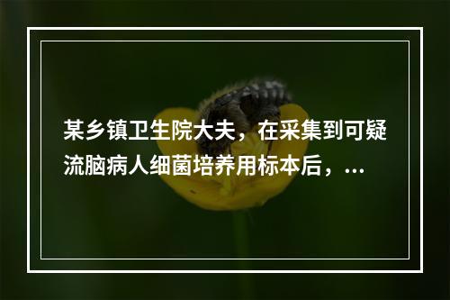 某乡镇卫生院大夫，在采集到可疑流脑病人细菌培养用标本后，因缺