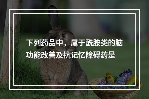 下列药品中，属于酰胺类的脑功能改善及抗记忆障碍药是