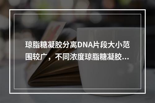 琼脂糖凝胶分离DNA片段大小范围较广，不同浓度琼脂糖凝胶可分