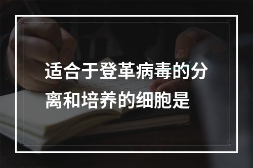 适合于登革病毒的分离和培养的细胞是