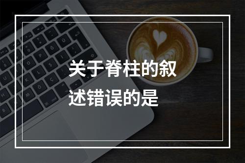 关于脊柱的叙述错误的是