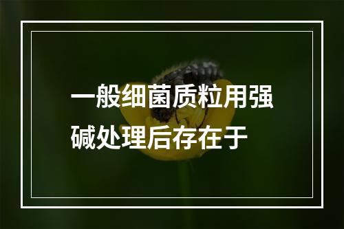 一般细菌质粒用强碱处理后存在于