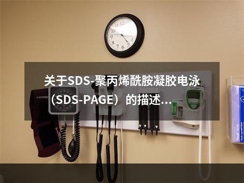 关于SDS-聚丙烯酰胺凝胶电泳（SDS-PAGE）的描述，不