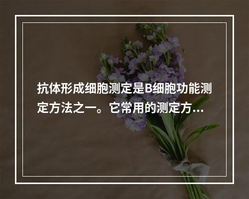 抗体形成细胞测定是B细胞功能测定方法之一。它常用的测定方法