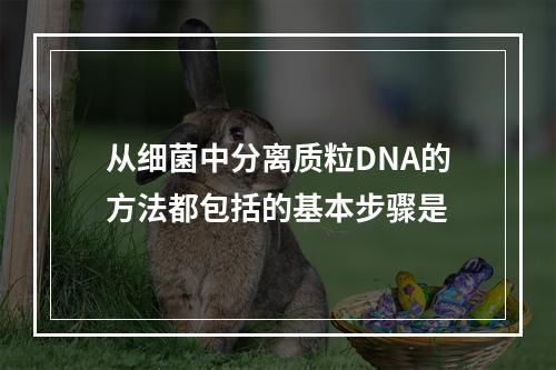 从细菌中分离质粒DNA的方法都包括的基本步骤是