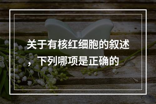 关于有核红细胞的叙述，下列哪项是正确的