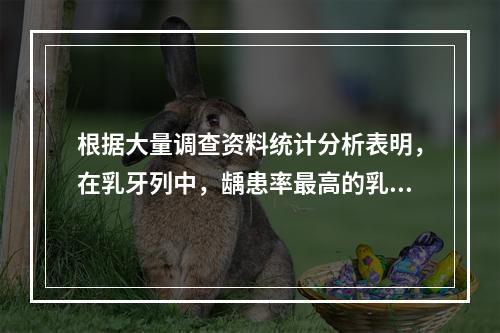 根据大量调查资料统计分析表明，在乳牙列中，龋患率最高的乳牙