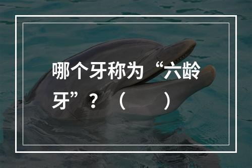 哪个牙称为“六龄牙”？（　　）