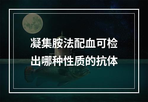 凝集胺法配血可检出哪种性质的抗体