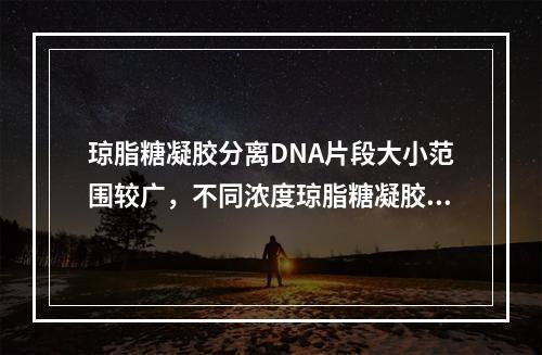 琼脂糖凝胶分离DNA片段大小范围较广，不同浓度琼脂糖凝胶可分