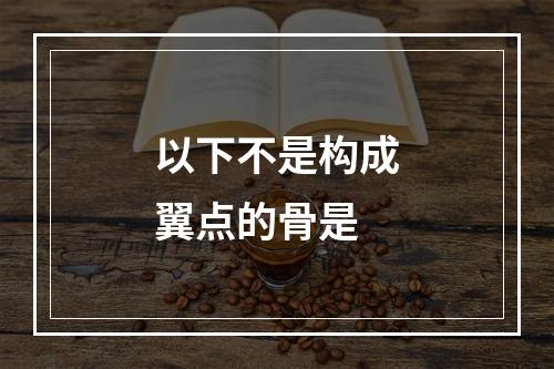 以下不是构成翼点的骨是