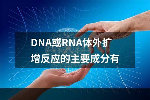 DNA或RNA体外扩增反应的主要成分有