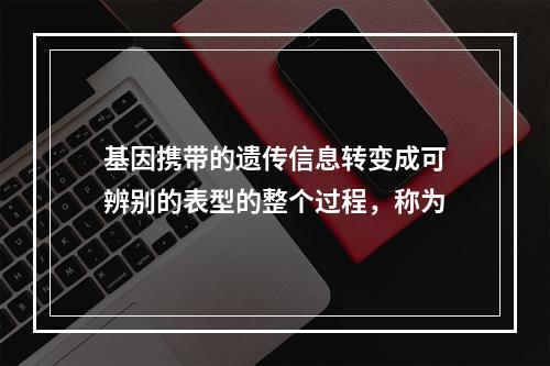 基因携带的遗传信息转变成可辨别的表型的整个过程，称为