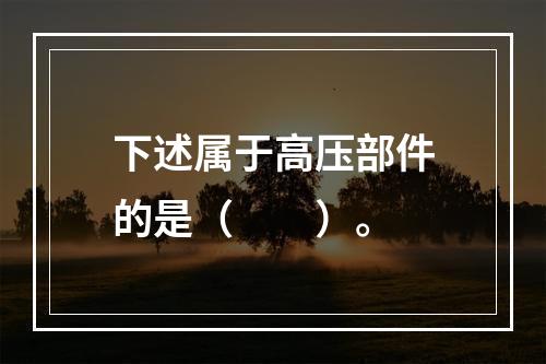 下述属于高压部件的是（　　）。