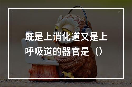 既是上消化道又是上呼吸道的器官是（）