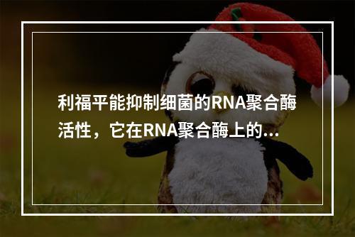 利福平能抑制细菌的RNA聚合酶活性，它在RNA聚合酶上的作用