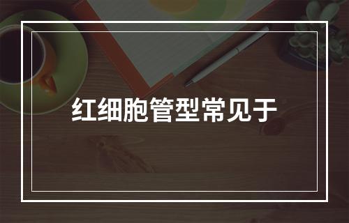 红细胞管型常见于