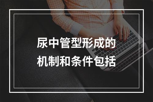 尿中管型形成的机制和条件包括