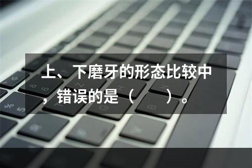 上、下磨牙的形态比较中，错误的是（　　）。