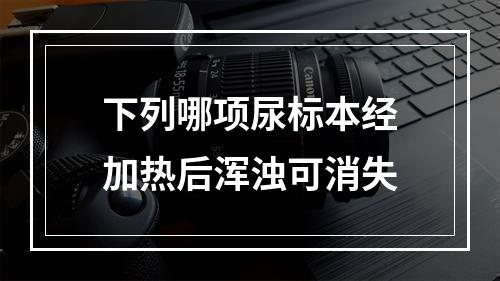 下列哪项尿标本经加热后浑浊可消失