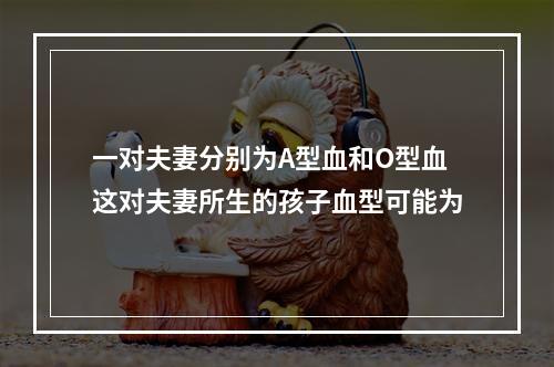 一对夫妻分别为A型血和O型血这对夫妻所生的孩子血型可能为