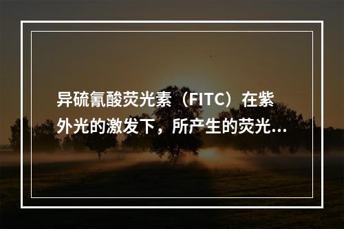 异硫氰酸荧光素（FITC）在紫外光的激发下，所产生的荧光为